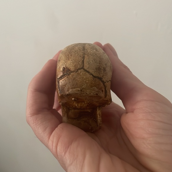 Miniature skull - Picture 4 of 5